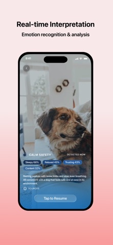 Traini packages AI interpretation with training content and product features