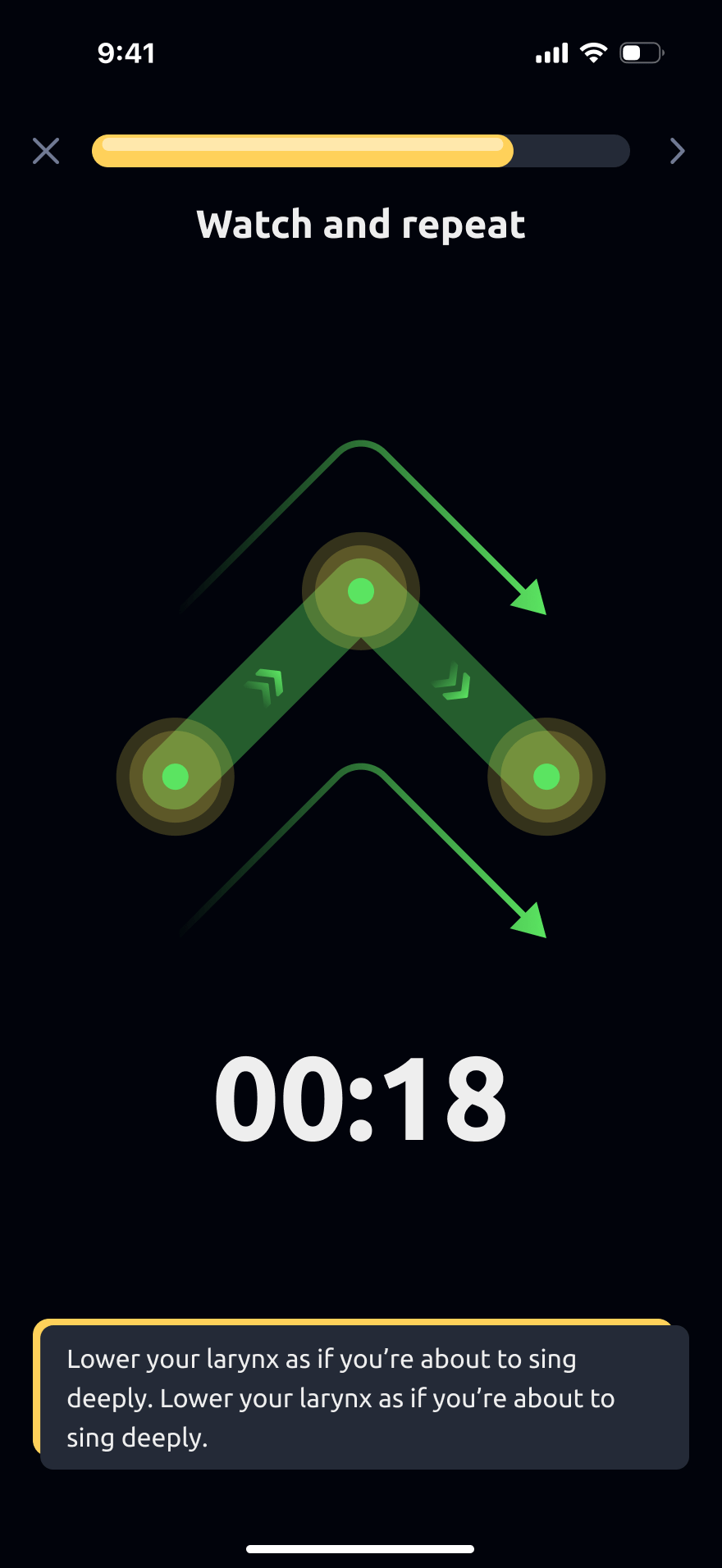 Vocal Image’s official repetition screen with a pitch curve and countdown